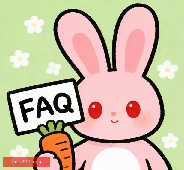 常见问题